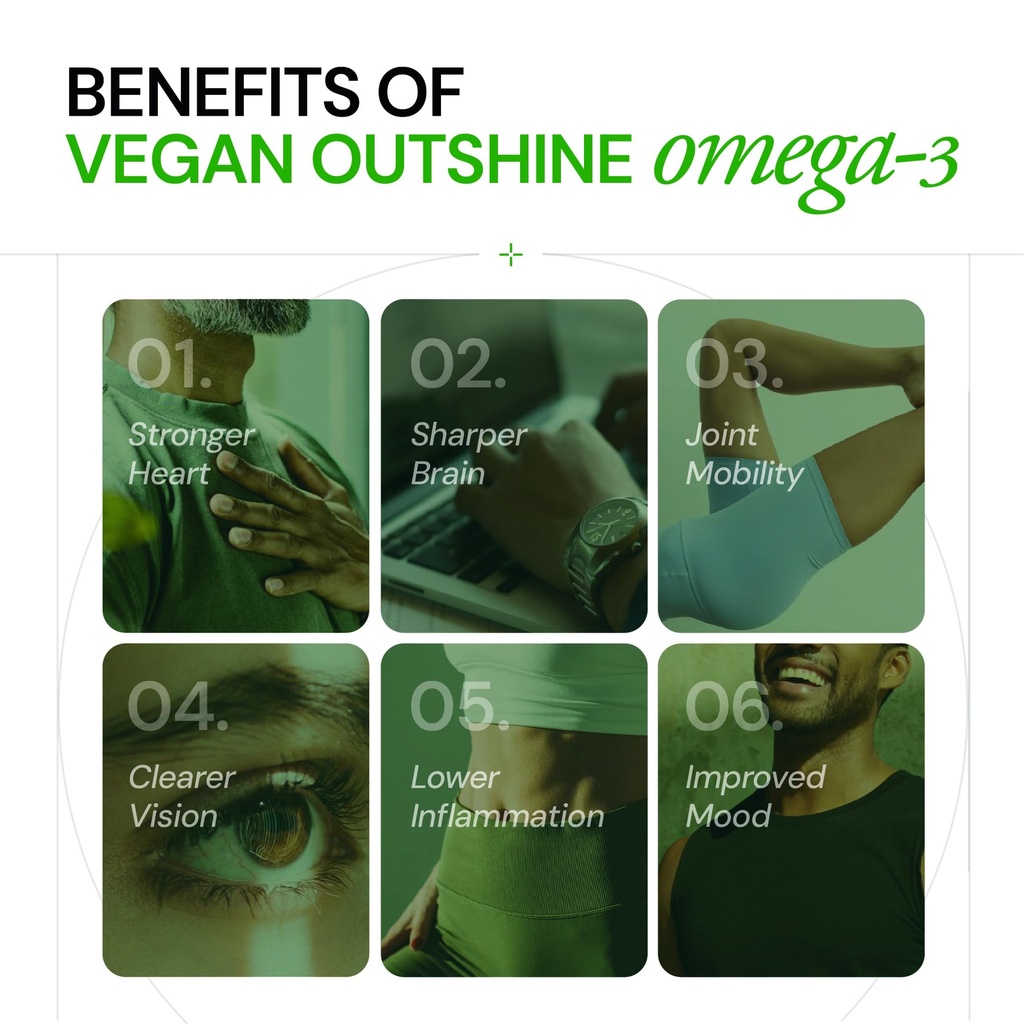 ace-blend-outshine-omega-3-vegan-with-38-71wkG-aT2ZL.jpg