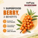 vittum-sea-buckthorn-tablets-ladakh-orig-715W8Kj5kfL.jpg