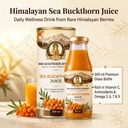 baba-mastnath-ayurved-sea-buckthorn-juic-81YIKMH6i5L.jpg