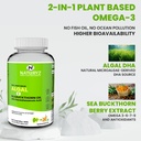 naturyz-vegetarian-omega-3-algae-sea-buc-61z94vkhmRL.jpg