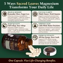 magnesium-l-threonate-650mg-memory-brain-81LtsYSmYFL.jpg