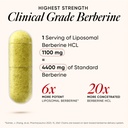 wellbeing-nutrition-slow-liposomal-berbe-81VNcrxDEeL.jpg