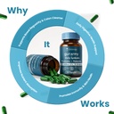 zeroharm-gut-army-prebiotics-probiotics--61gGg71nIIL.jpg