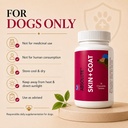drools-absolute-dog-supplement-tablet-sk-61TmvH9s9IL.jpg