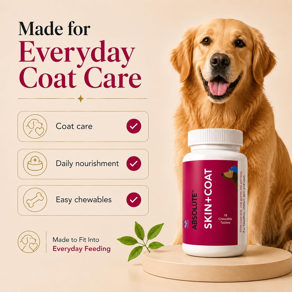 drools-absolute-dog-supplement-tablet-sk-71ropQasbuL.jpg