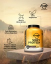 avvatar-whey-protein-2kg-malai-kulfi-fla-815GiGZ-WvL.jpg