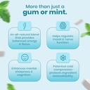 neuro-energy-focus-gum-variety-trial-pac-61p6P1meEVL.jpg