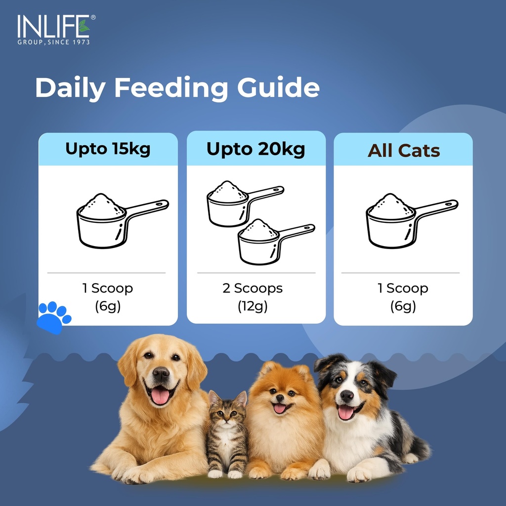inlife-collagen-peptides-supplement-dogs-81a9KPxYIPL.jpg