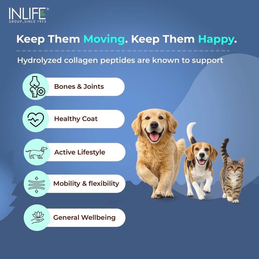 inlife-collagen-peptides-supplement-dogs-81ZDQjZq+LL.jpg