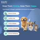 inlife-collagen-peptides-supplement-dogs-81ZDQjZq+LL.jpg
