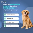 inlife-collagen-peptides-supplement-dogs-81mFGuIGWkL.jpg