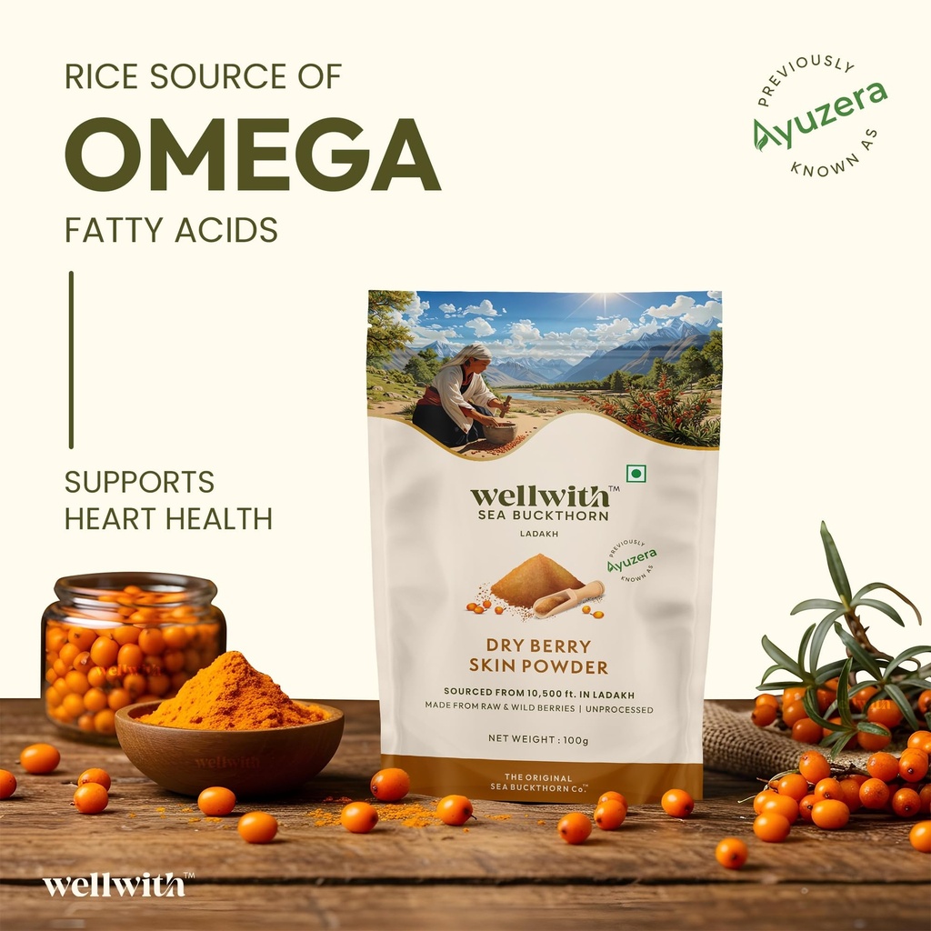 wellwith-himalayan-sea-buckthorn-dry-ber-81L7SZR6X5L.jpg