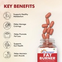 dr-morepen-fat-burner-tablet-100-natural-719WfaEbxcL.jpg