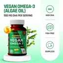 naturaltein-vegan-omega-3-60-softgels-ma-71SMOMMnRQL.jpg
