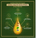 swarnaprashan-drop-for-kids-natural-form-61cfLuFEPoL.jpg