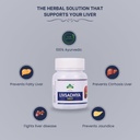 livsadhya-ayurvedic-tablet-for-liver-car-51scX0OgweL.jpg