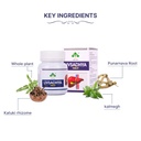 livsadhya-ayurvedic-tablet-for-liver-car-51gDzAaYFDL.jpg
