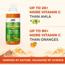 the-body-reserve-himalayan-sea-buckthorn-71X63psoCNL.jpg