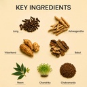 long-looks-ayurvedic-growth-development--71yU8-TawJL.jpg