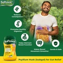 softovac-isabgol-fiber-plus-natural-acti-81hYLZBDmSL.jpg