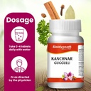 baidyanath-ayurved-kanchnar-guggulu-160--717Lh42jf-L.jpg