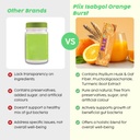 plix-the-plant-fix-isabgol-orange-burst--61FGg7lO9xL.jpg
