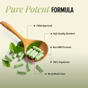 gnc-milk-thistle-1000mg-high-strength-li-61uXBfVem7L.jpg