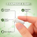 tq-wellness-synergut-pre-probiotics-caps-616UgxJ4JdL.jpg
