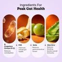 what-s-up-wellness-gut-health-supplement-61QiwVqDrcL.jpg