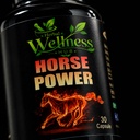 herbal-wellness-hub-horse-power-capsules-61M5l545aHL.jpg