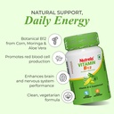 nutrela-vitamin-b12-plant-based-suppleme-61SR5OF4AyL.jpg