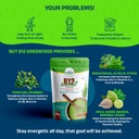 b12greenfood-powder-plant-based-vitamin--710ucM0l-BL.jpg