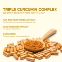 rasayanam-curcumin-1600mg-extra-pure-nan-81MaYl3+7IL.jpg