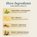 nutrela-men-superfoods-with-whey-protein-61E7lO4FE8L.jpg