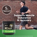 optimum-nutrition-bcaa-5g-bcaas-in-2-1-1-818Ym3zaTUL.jpg