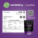 denzour-nutrition-denz-whey-isolate-prot-71H+FNiwKGL.jpg