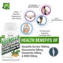hxn-glucosamine-joint-support-supplement-61GRUAO4XhL.jpg