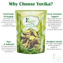 yuvika-daru-haldi-chilka-berberis-arista-61l1gyr3wkL.jpg