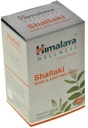 himalaya-wellness-shallaki-tablets-250-m-71sDoPKFe-L.jpg