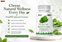 by-leewell-spinach-leaf-powder-extract-1-71-bAiBoqQL.jpg