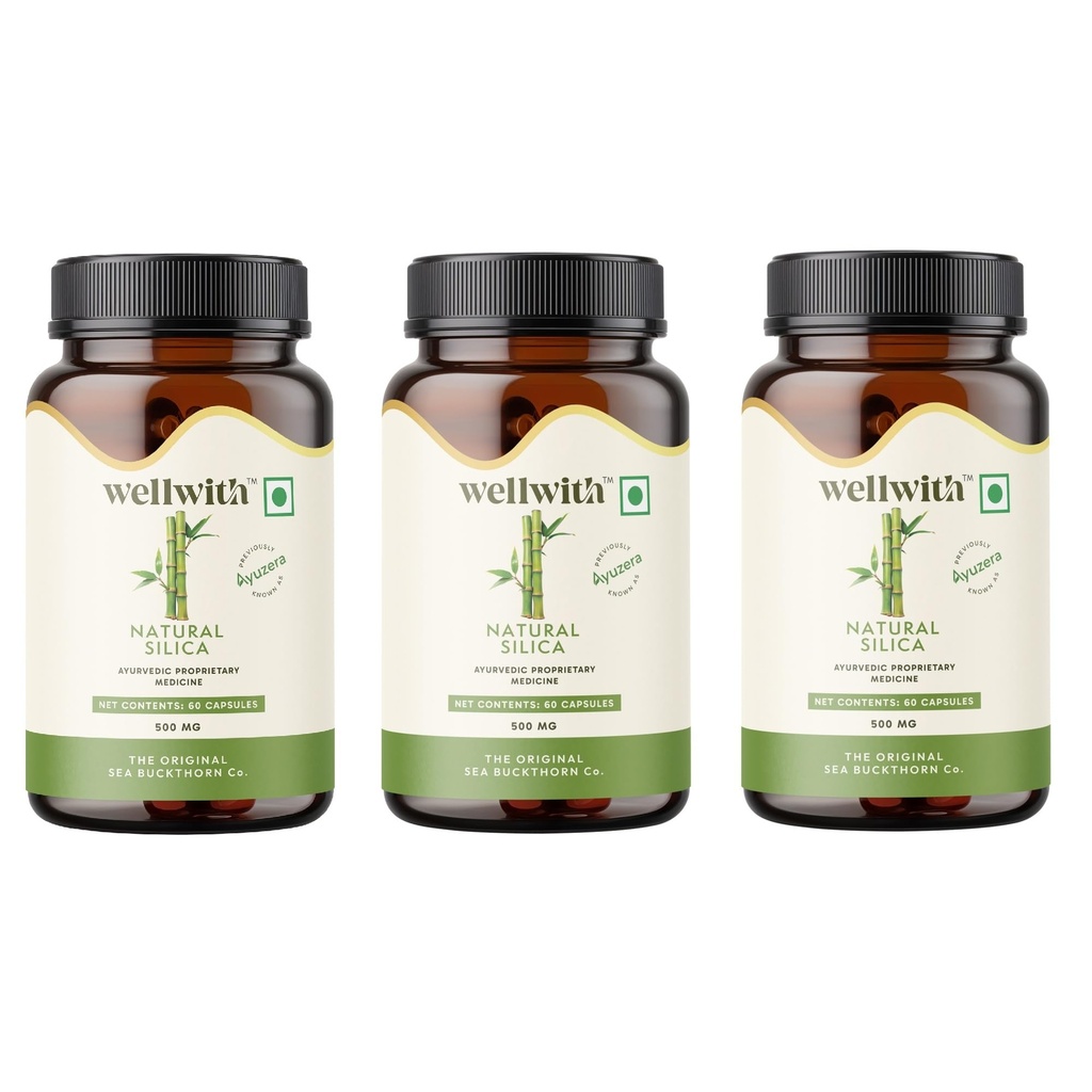 wellwith-ayuzera-natural-silica-500mg-60-71WL3hMHHbL.jpg