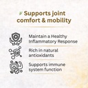 curcumin-500mg-60-veg-capsules-turmeric--71rA6pV08mL.jpg