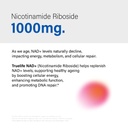 nad-1000mg-nicotinamide-riboside-nr-vega-61Sz3iMM3zL.jpg