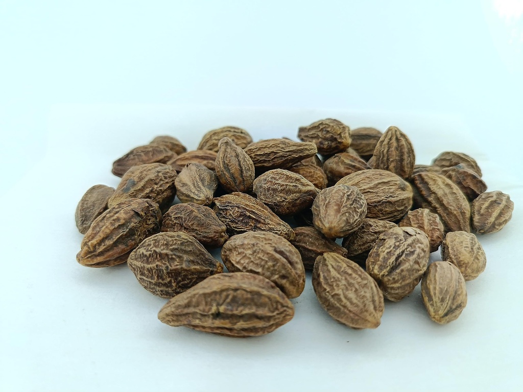 advancedestore-dried-whole-karakkaya-har-81tpCcNuFgL.jpg