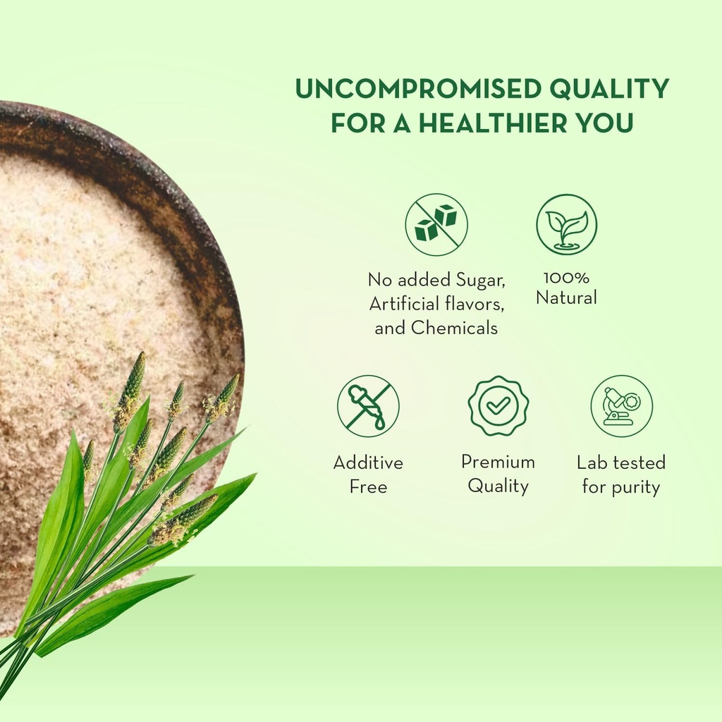 baidyanath-asli-ayurved-isabgol-psyllium-71K0lbVZZuL.jpg