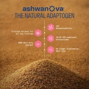nature-thought-stress-ease-advanced-form-71KOFyqs3VL.jpg