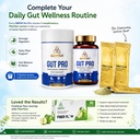 gut-pro-probiotics-supplement-50-billion-71ff9IUs-jL.jpg