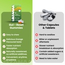 sleep-gut-balance-combo-sleep-gummies-pr-612HwGi6c7L.jpg