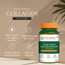 pure-nutrition-veg-collagen-supplement-f-61eP20vHNUL.jpg