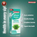 baidyanath-wheatgrass-juice-1l-natural-l-61f1v3H-cqL.jpg